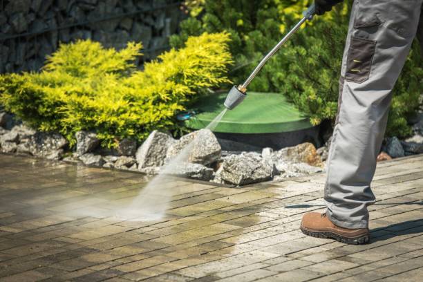 Best Roof Washing  in South Brooksville, FL