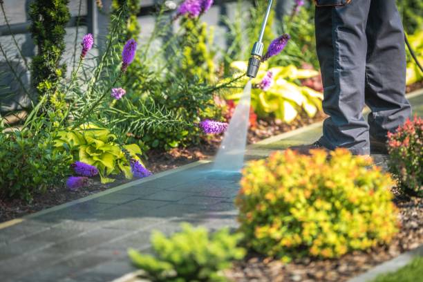 Best Driveway Pressure Washing  in South Brooksville, FL
