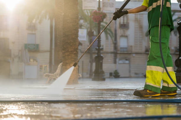 Best Sidewalk and Walkway Cleaning  in South Brooksville, FL